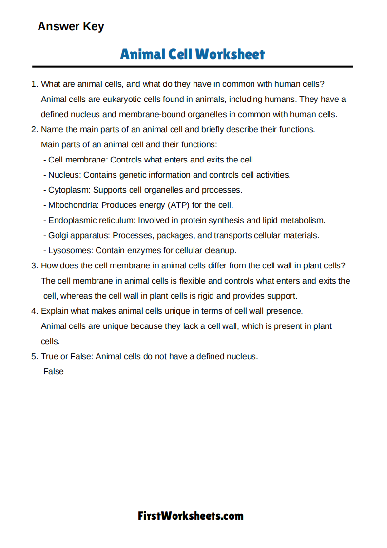 Animal Cell Worksheet Answer Key
