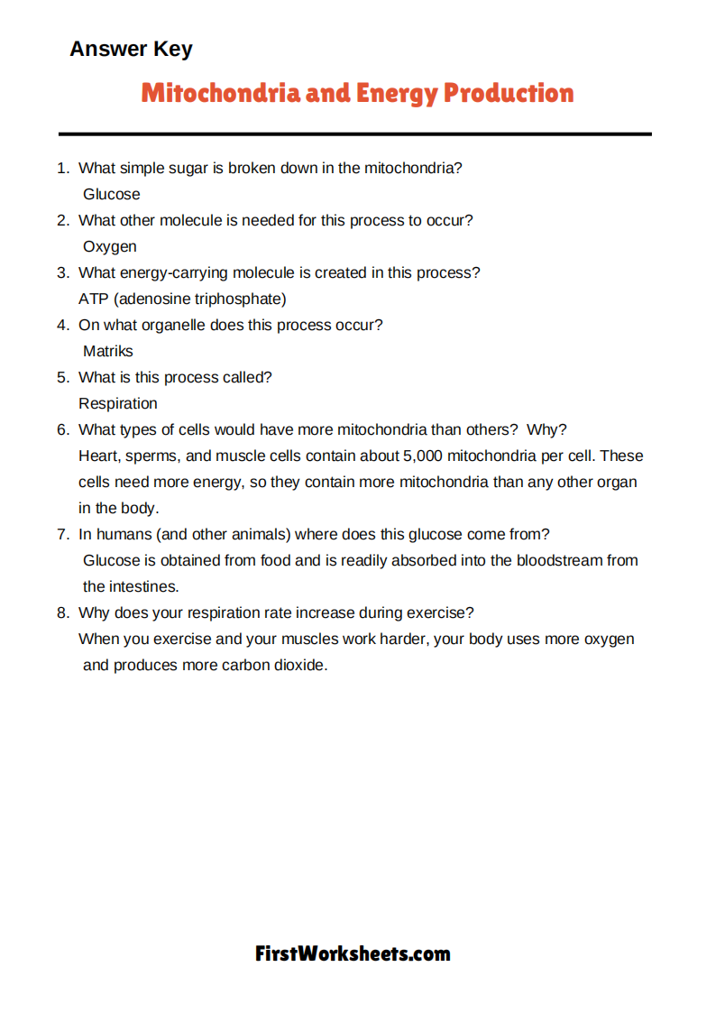 Mitochondria And Energy Production Worksheet Answer Key