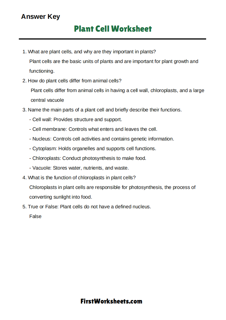 Plant Cell Worksheet Answer Key