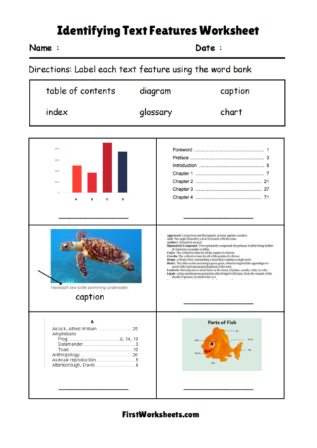 Identifying Text Features Worksheets