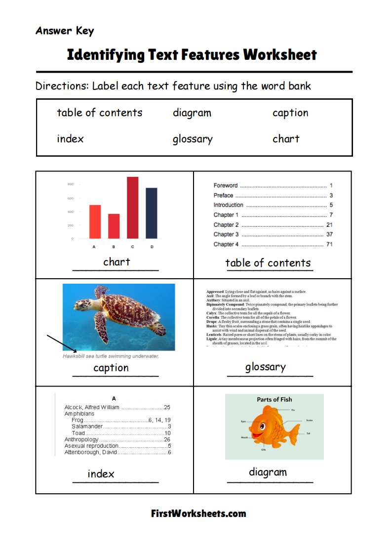 Identifying Text Features Worksheet Answer Key Identifying Text Features Worksheet Answer Key