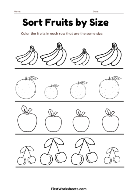 Sort Fruits by Size Worksheets