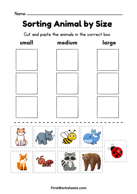 Sorting Animal by Size Worksheets