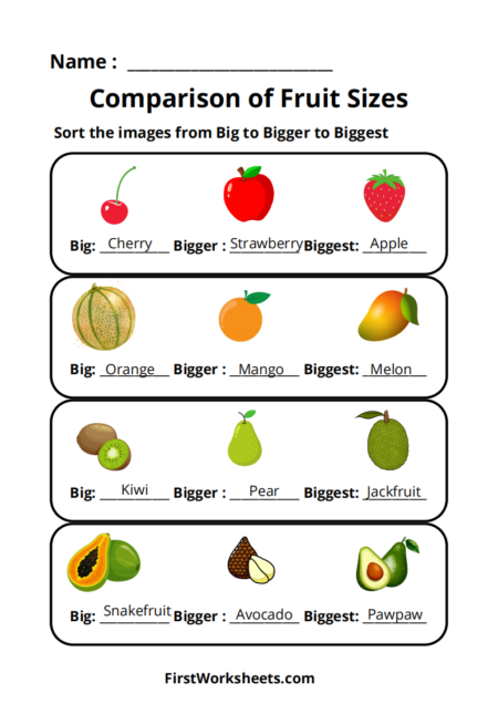 Comparison of Fruit Sizes Worksheets Comparison of Fruit Sizes Worksheets