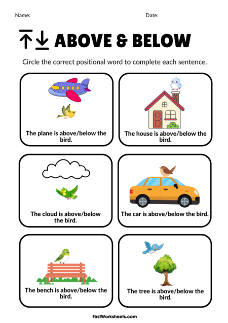 Above or Below Bird Worksheets