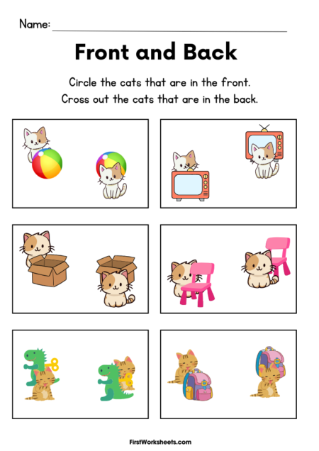 Front And Back Cat Worksheets