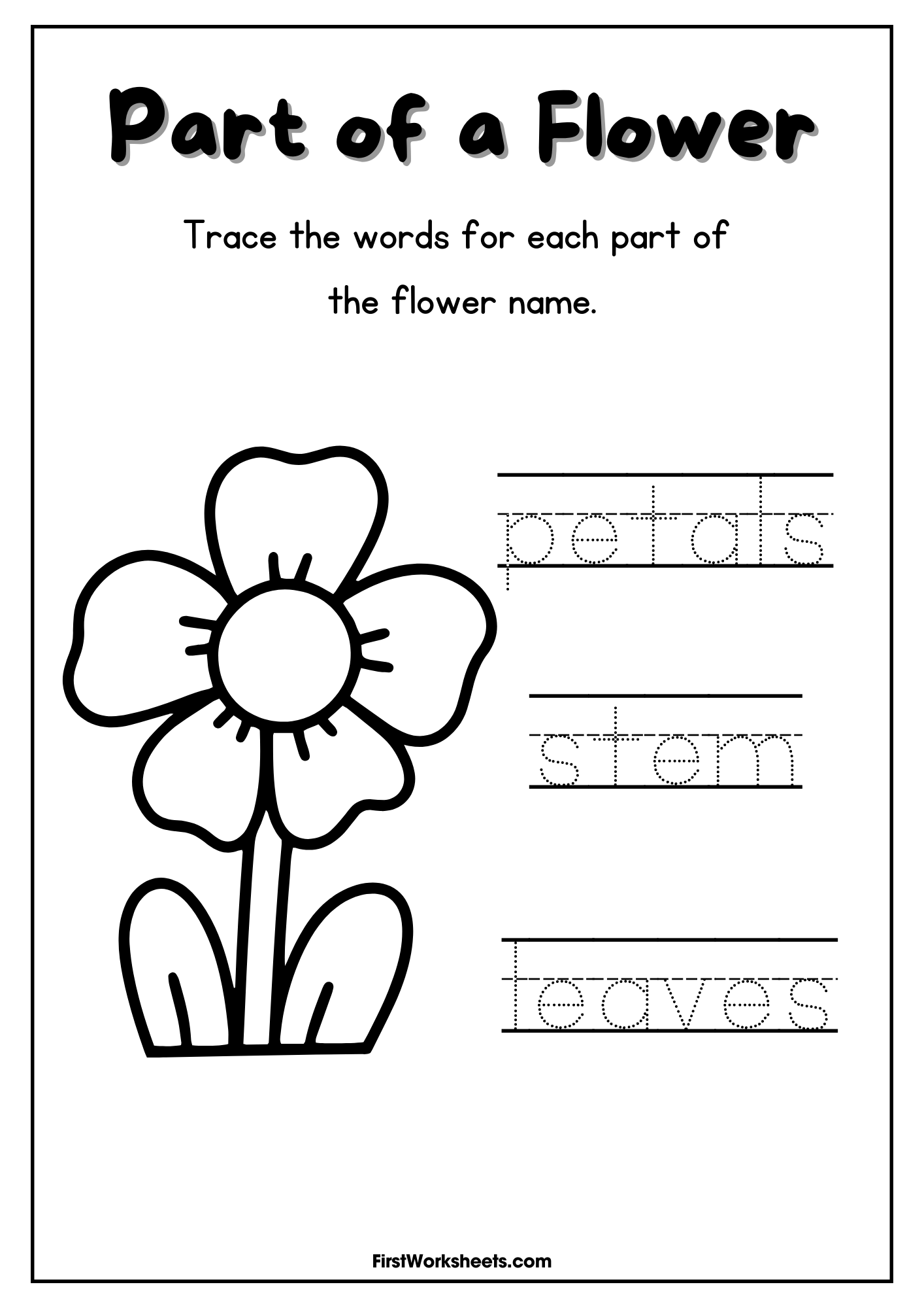 Tracing Part Of A Flower Worksheet Tracing Part Of A Flower Worksheet