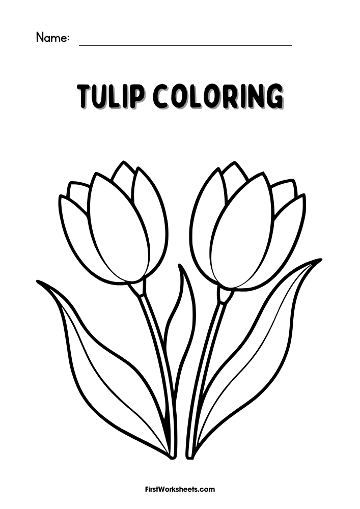 Tulip Coloring Tulip Coloring